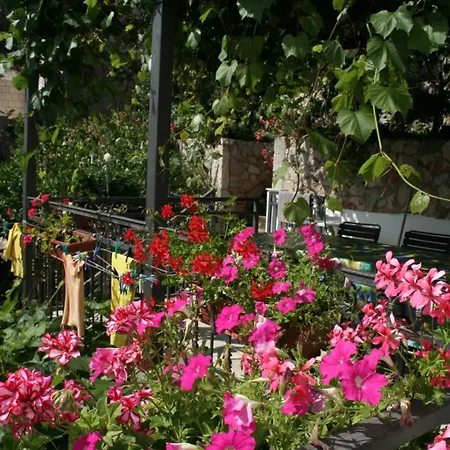 Πανσιόν Double 4566c