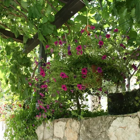 Double 4566c Trstenik (Dubrovnik-Neretva)